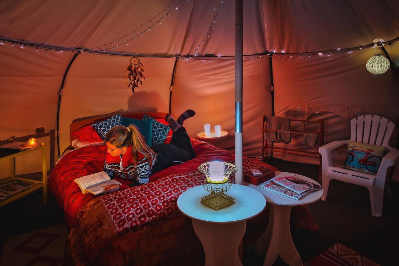 فندق Mt Gold Glamping واناكا المظهر الخارجي الصورة