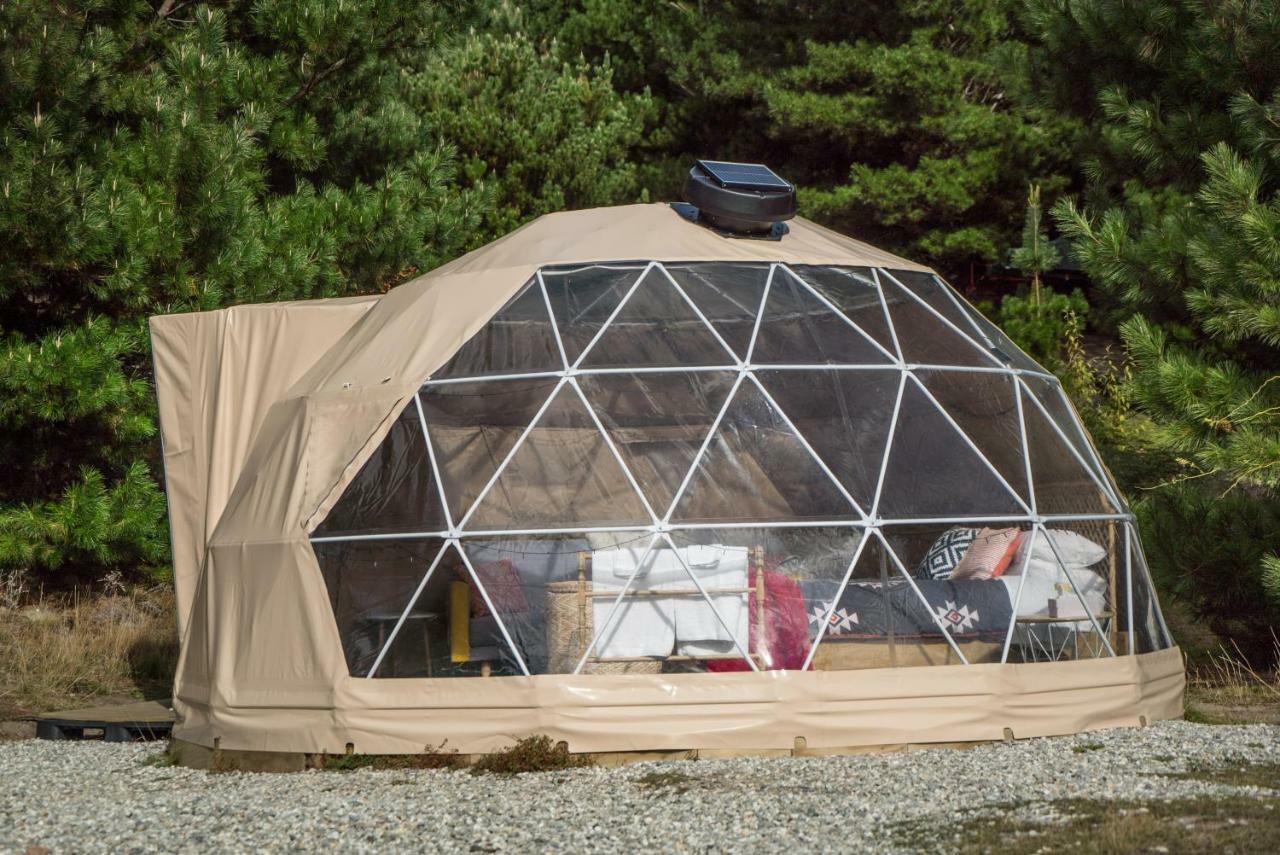 فندق Mt Gold Glamping واناكا المظهر الخارجي الصورة