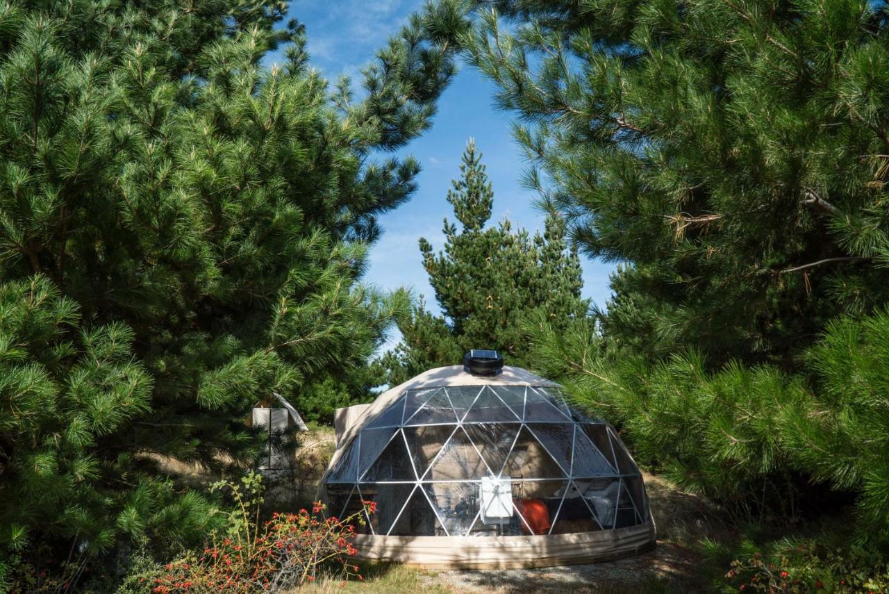 فندق Mt Gold Glamping واناكا المظهر الخارجي الصورة